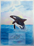 Original watercolor painting of a breaching orca at sunset with dramatic sky and ocean waves by artist D. Bunting