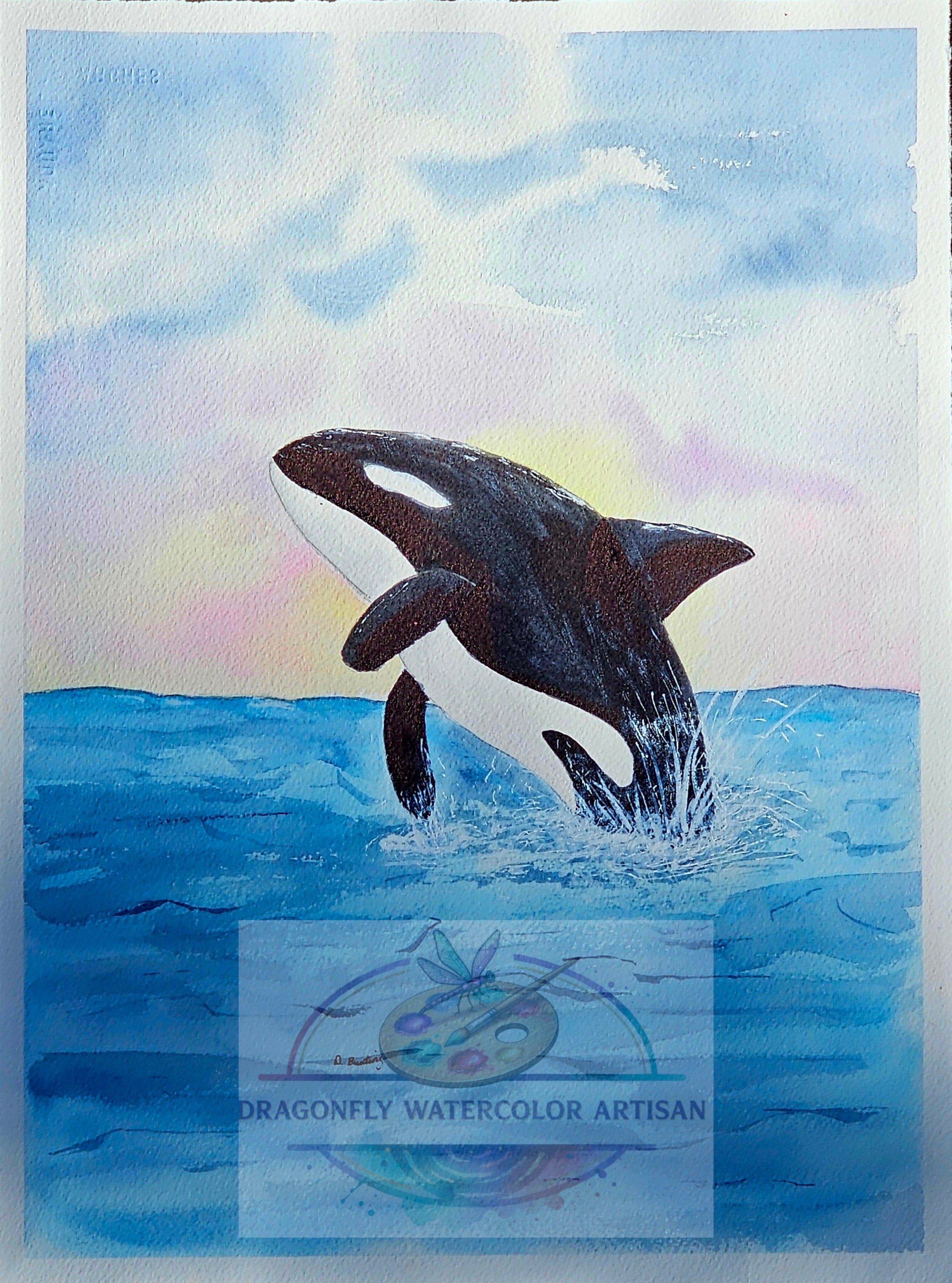 Original watercolor painting of a breaching orca at sunset with dramatic sky and ocean waves by artist D. Bunting