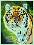 Original 9x12 watercolor portrait of a majestic tiger with intense golden eyes and highly detailed orange, black, and white fur, painted against a deep green background. Signed original by D. Bunting.