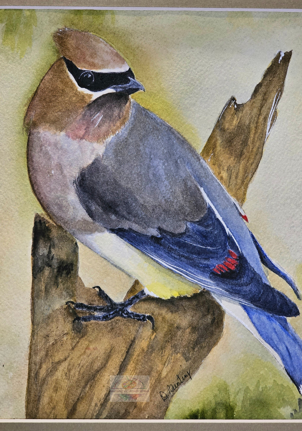 Close-up detail of original cedar waxwing watercolor painting showing feather textures and colors by D. Bunting