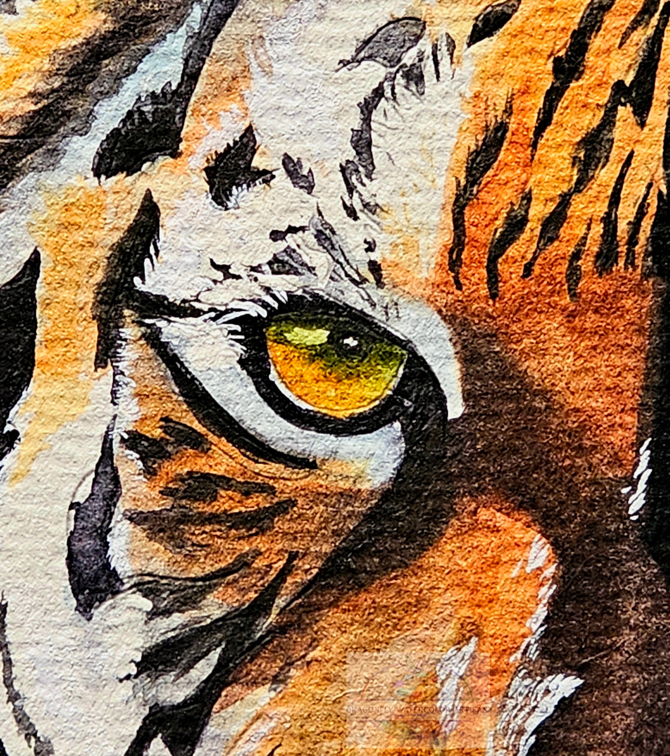 Close-up detail of the original watercolor tiger painting, focusing on the intense golden eye, intricate fur texture, whiskers, and nose of the tiger.