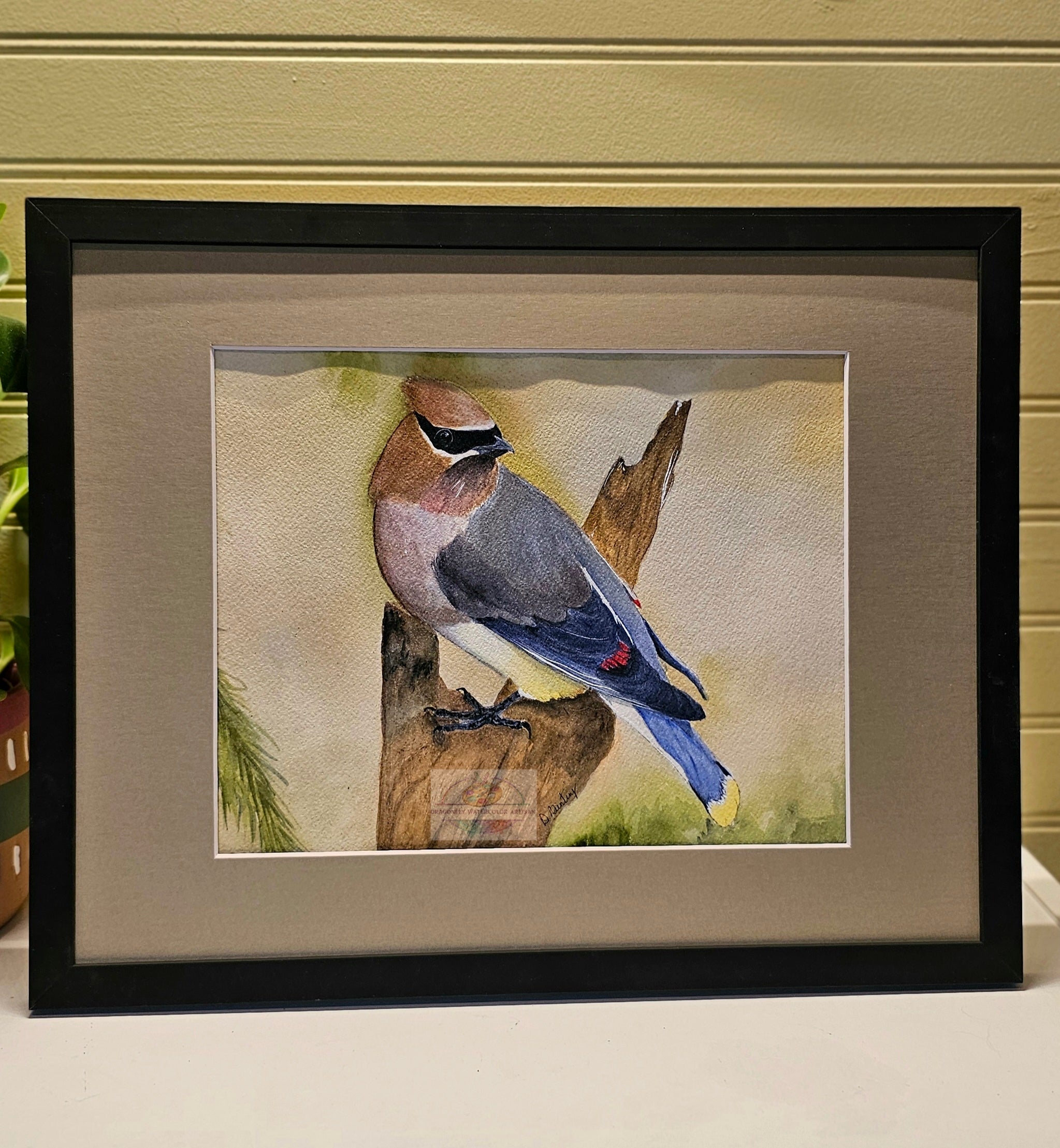Original watercolor painting of a cedar waxwing bird perched on a branch by artist D. Bunting