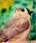 Original watercolor painting of a tufted titmouse bird perched on a branch by artist D. Bunting
